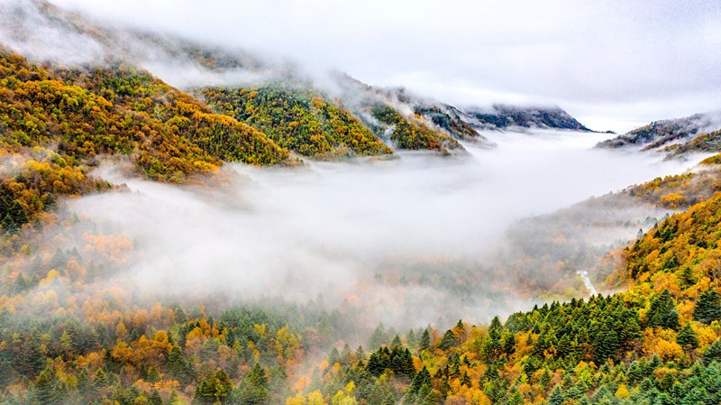 To build a prosperous, clean and beautiful world