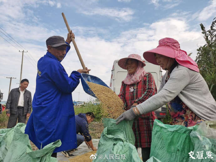 Yuan Longping’s team sets new record for salt-resistant rice yield