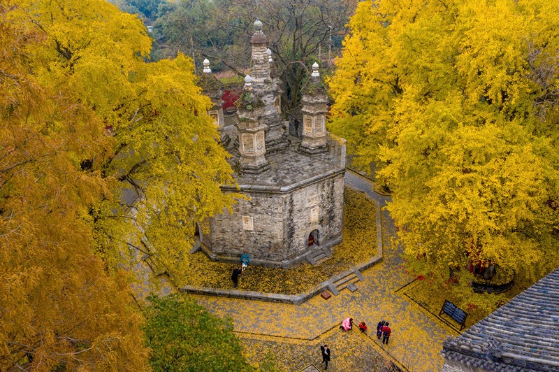 Protection of Earth calls for ambition of mankind to cope with climate change