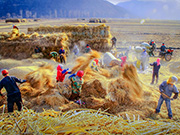 Award-winning photos show poverty reduction achievements in NE China's Jilin province