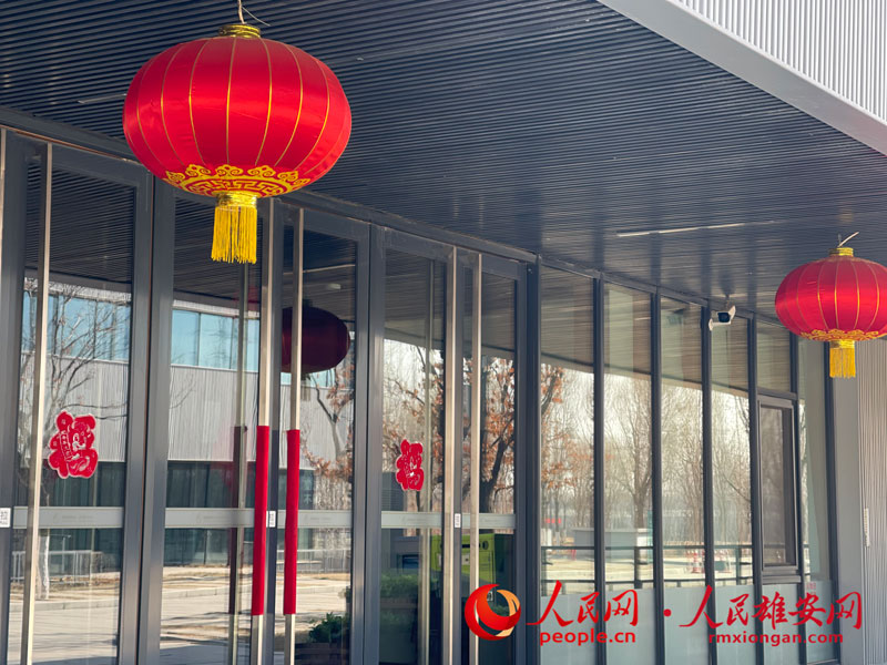 People shop for Spring Festival in Xiongan New Area