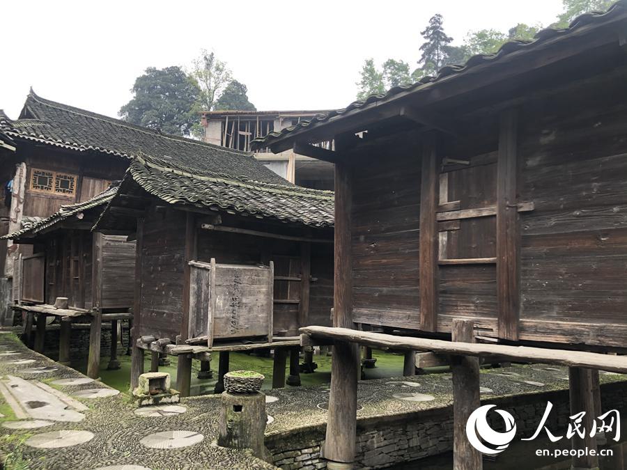 Barns built above water keep grain safe in Miao village