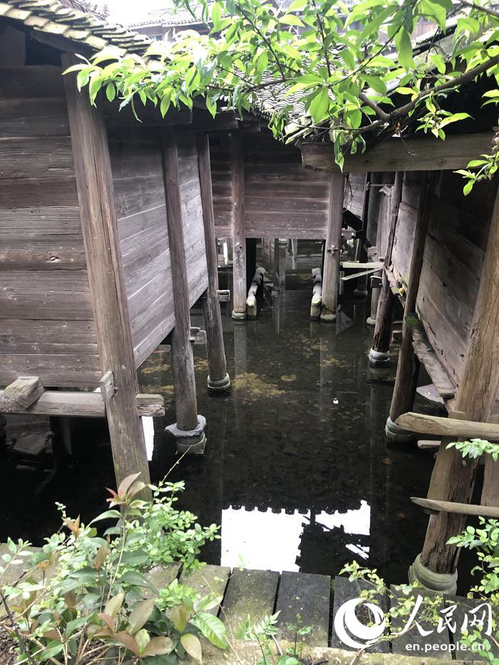 Barns built above water keep grain safe in Miao village