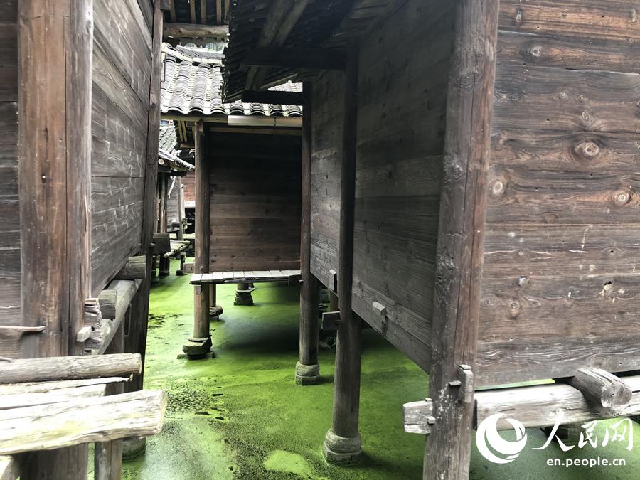 Barns built above water keep grain safe in Miao village