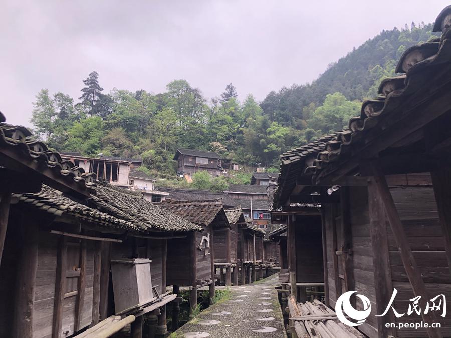 Barns built above water keep grain safe in Miao village