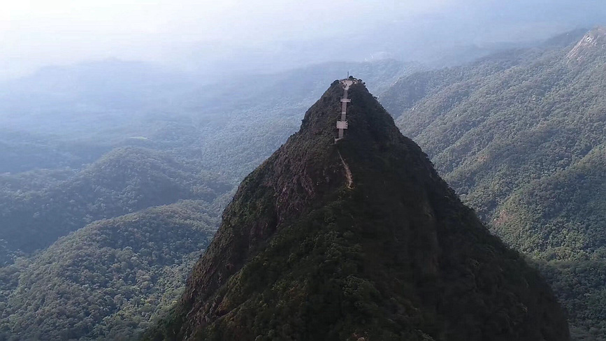 Pics: Mesmerizing tropical rainforest in Hainan