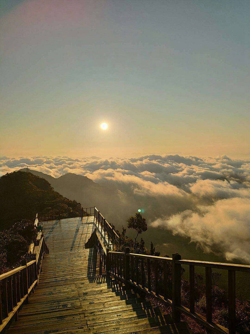 Pics: Mesmerizing tropical rainforest in Hainan