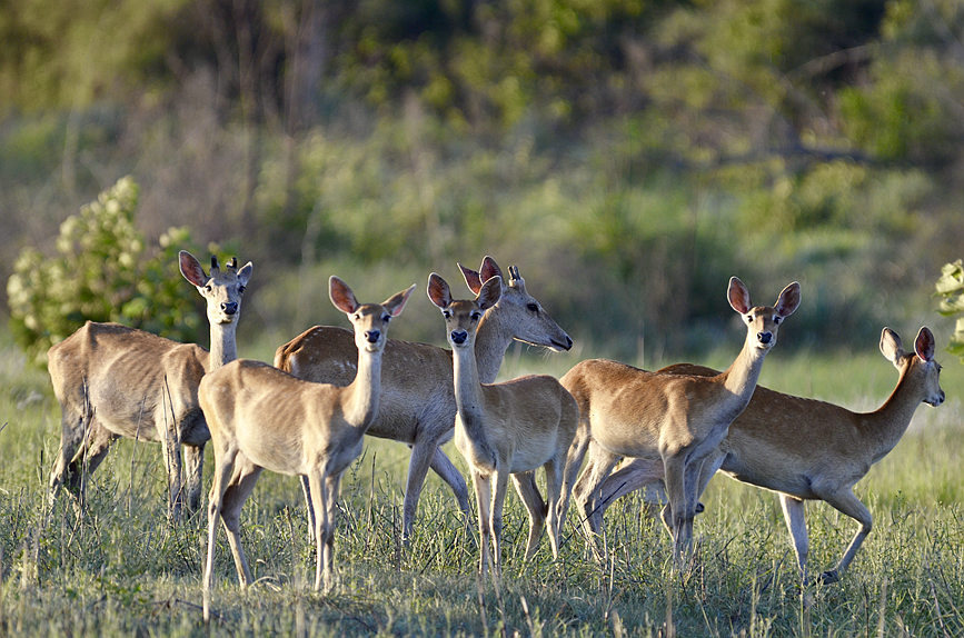 Pics: Mesmerizing tropical rainforest in Hainan