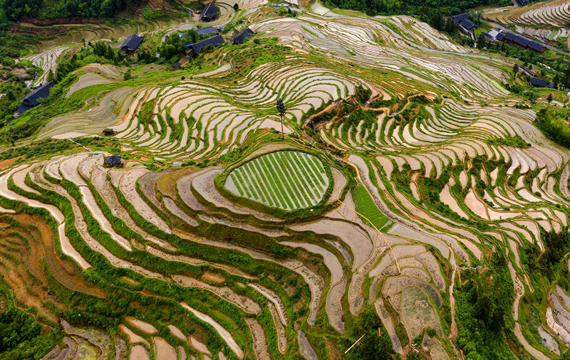Terraced field in central China's Hunan boosts tourism, agriculture