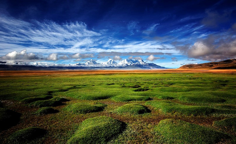 Shanghai teacher blazes new trail for Tibet students with fine art education