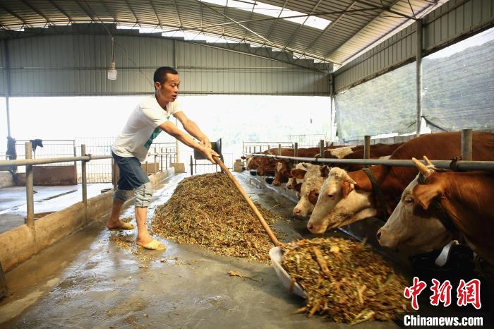 Farmer helps fellow villagers get rich through organic farming