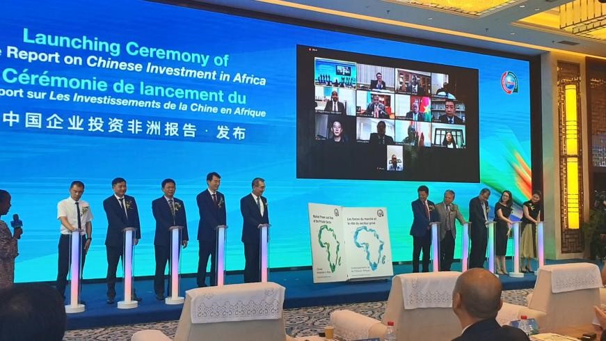 Chinese enterprises a propeller for Africa's inclusive economic growth: report