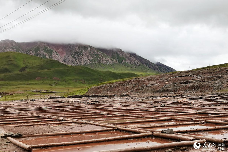 In pics: Beautiful scenery of Sanjiangyuan region in NW China's Qinghai