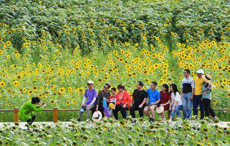 China endeavors to achieve comprehensive progress in human rights