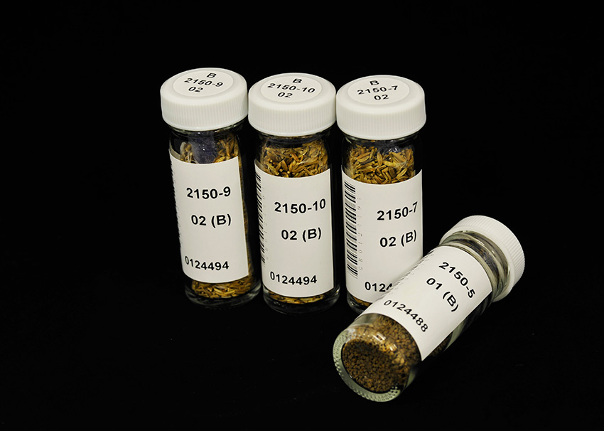 SW China's germplasm bank of wild species: