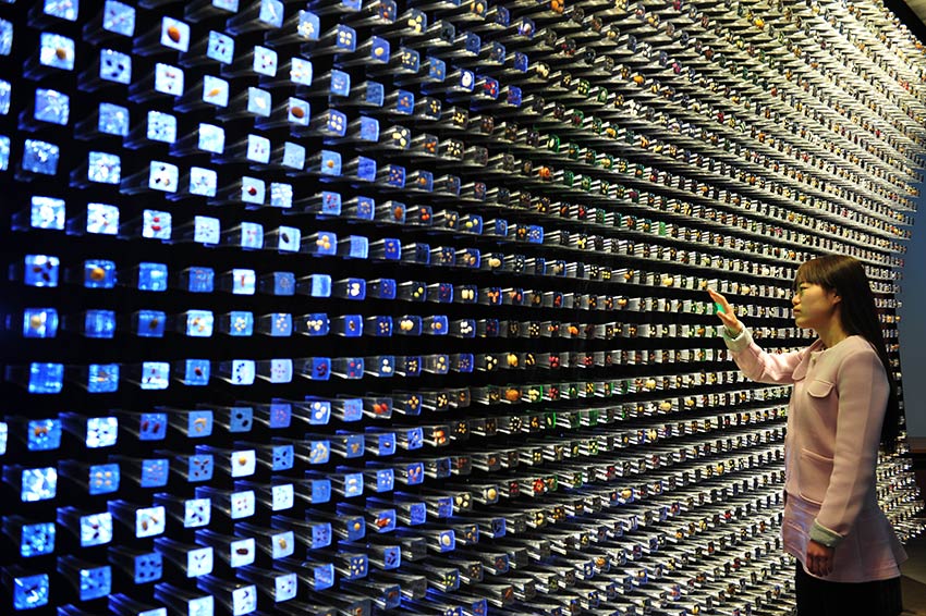 SW China's germplasm bank of wild species: