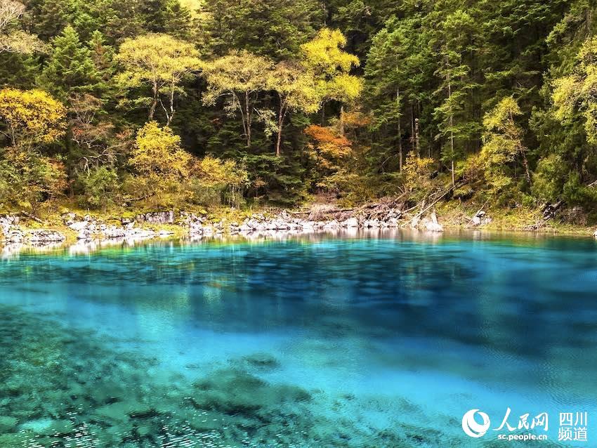 Chinese scenic spot Jiuzhaigou fully opens after quake