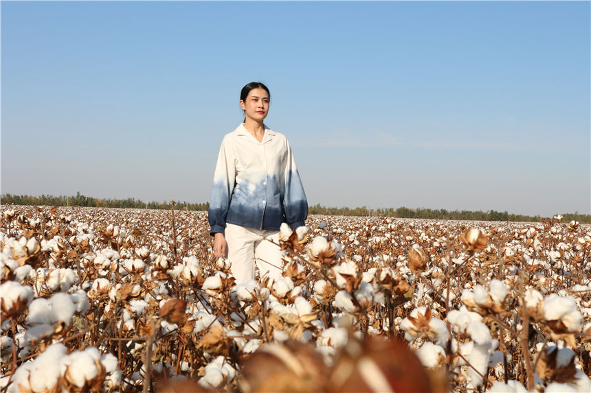 Fashion show held in cotton field in Xinjiang
