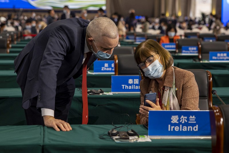 China joins hands with world to start new journey of high-quality development for humanity