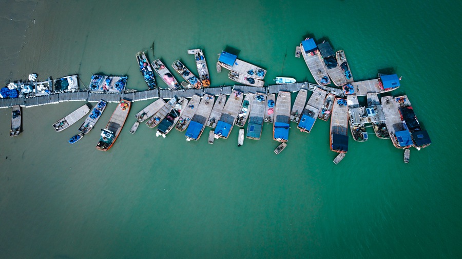 Explore simple, idyllic fishermen's life in Fujian's small village