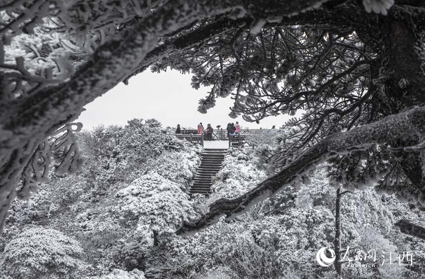 In pics: First snowfall of this winter turns E China’s Sanqing Mountain into wonderland