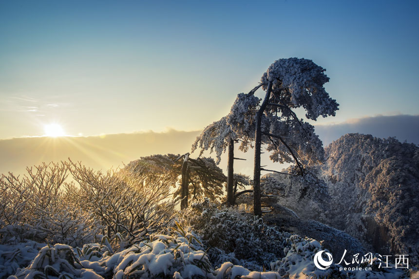 In pics: First snowfall of this winter turns E China’s Sanqing Mountain into wonderland
