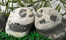 Man collects 300 precious stones that resemble the appearance of prized giant pandas