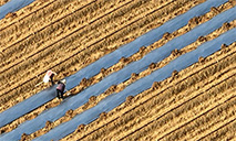 Spring ploughing in full swing acoss China