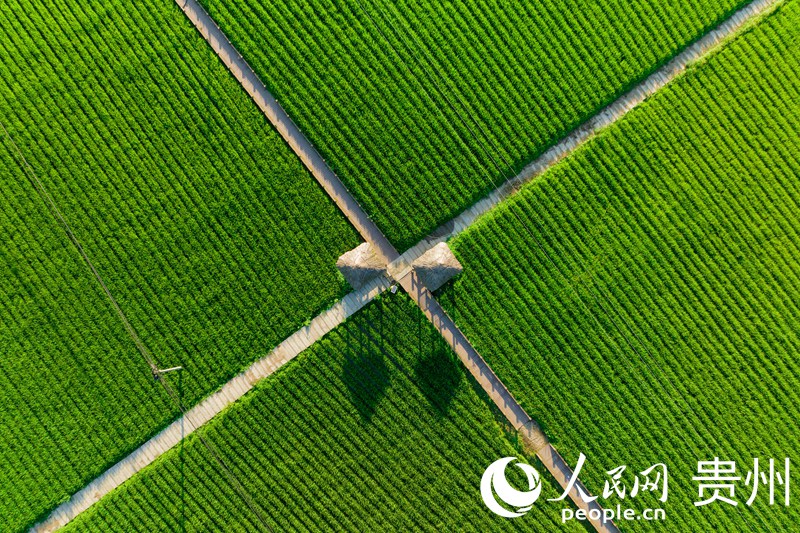 Aerial view of beautiful village in SW China’s Guizhou