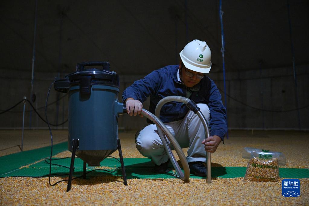 In pics: A glimpse of grain reserve depot in Fuzhou, SE China's Fujian