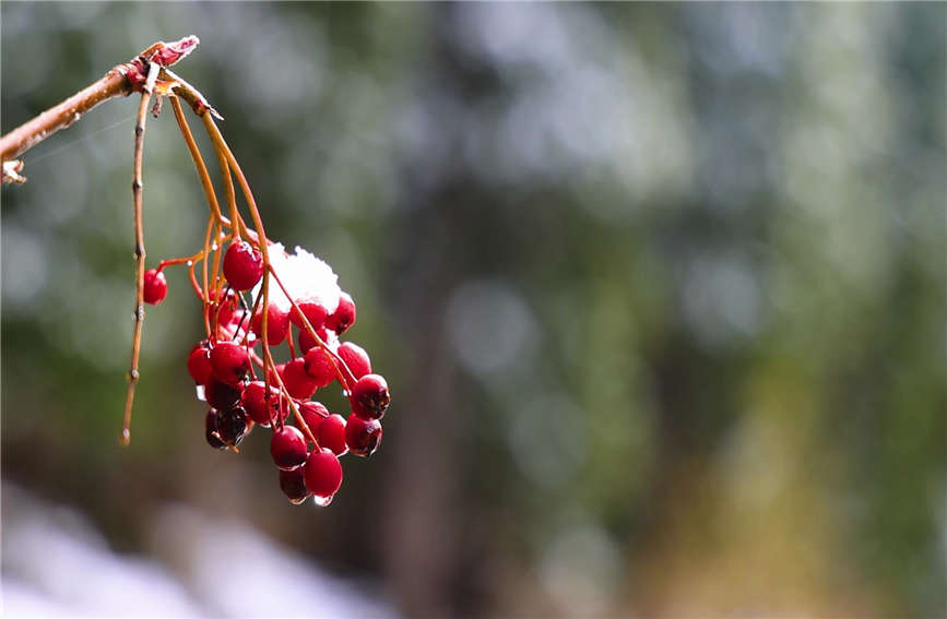 Snow turns village in China's Xinjiang into