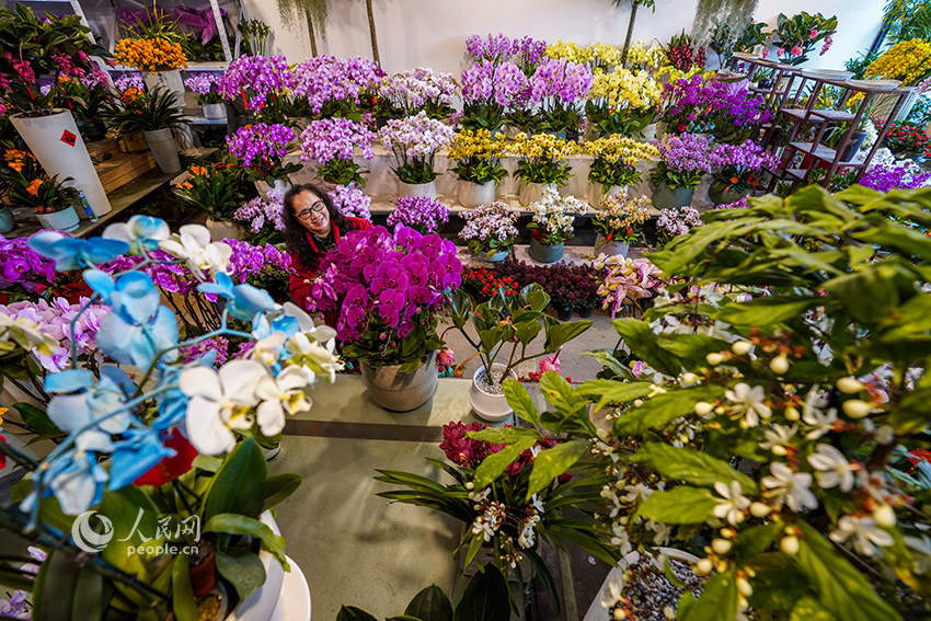 Chinese cities immersed in festival atmosphere as Lunar New Year nears