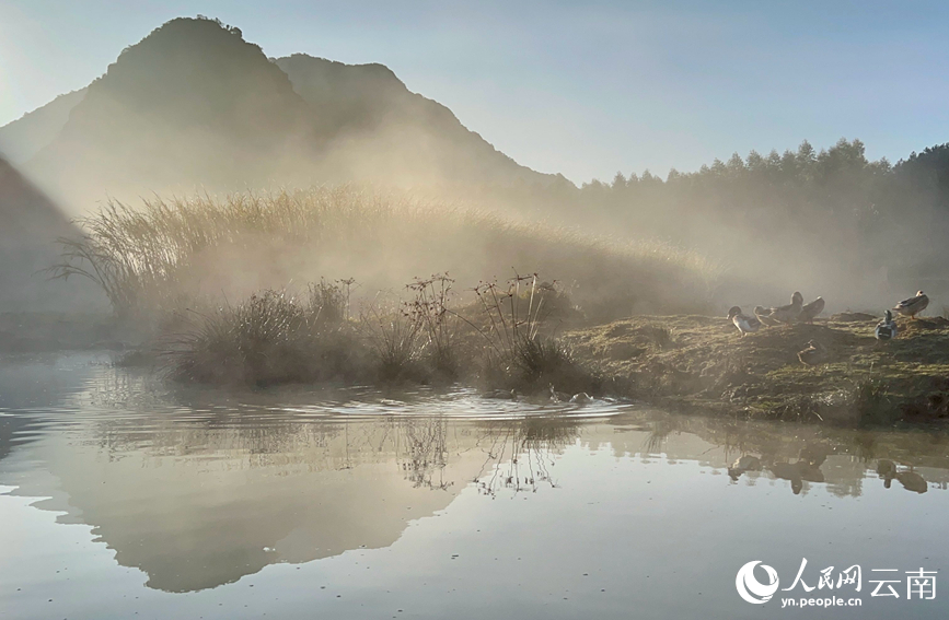 In pics: Picturesque misty scenery of Ning'er county, SW China's Yunnan