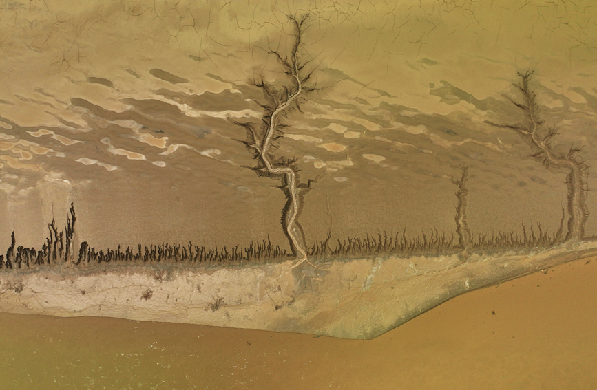 A bird's-eye view of crisscrossing