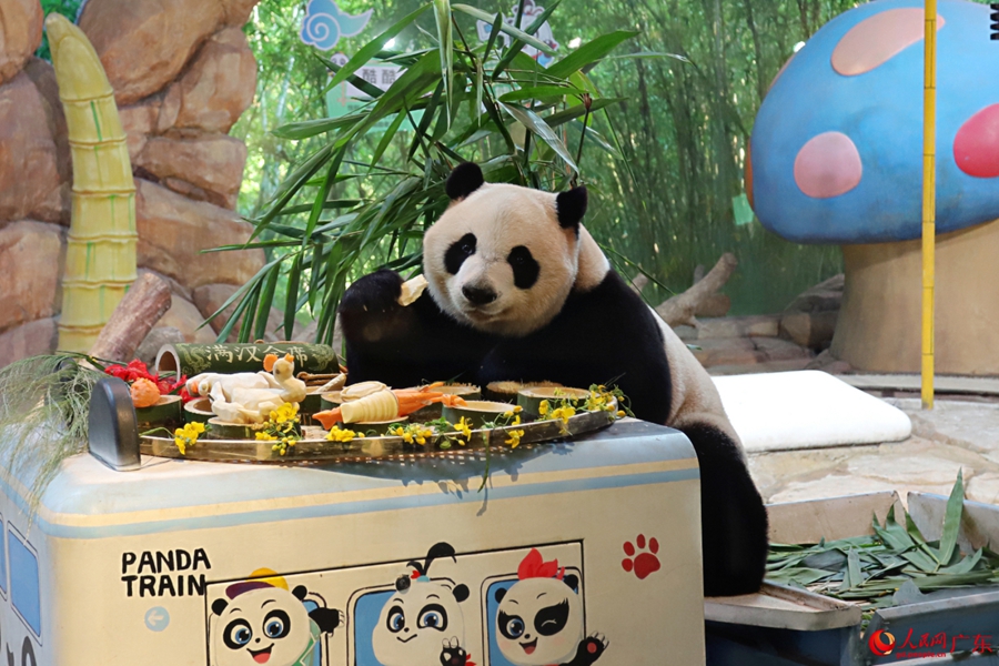 Giant panda enjoys delightful