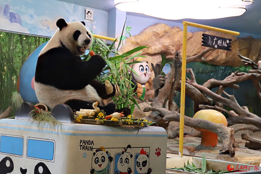 Giant panda enjoys delightful