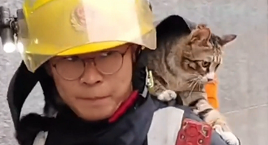 AI Vibes: The courage of firefighters, a young man’s resilience, and a father's Love