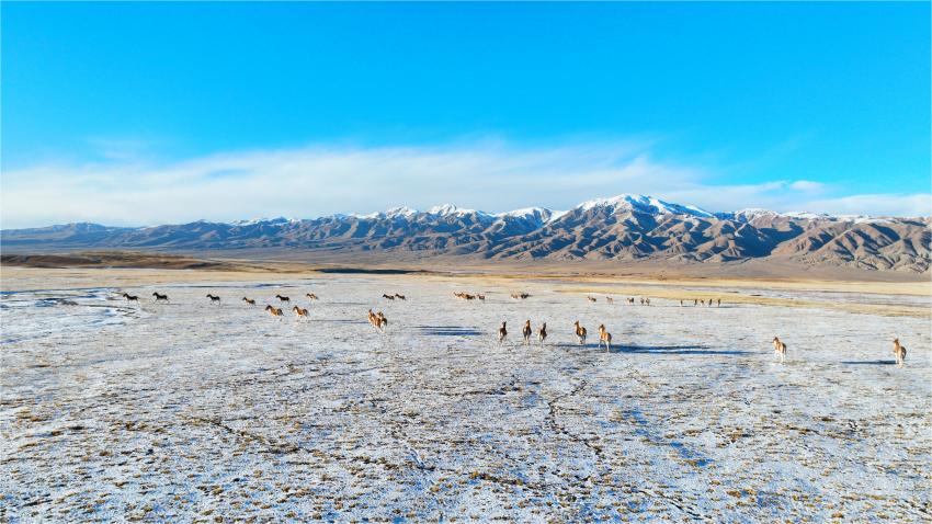 Discover the magical Qaidam Basin in NW China's Qinghai