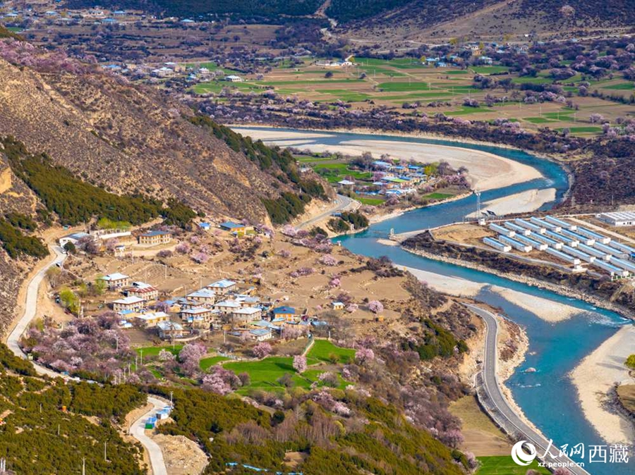 In pics: Blooming peach flowers in Lhari county, SW China's Xizang