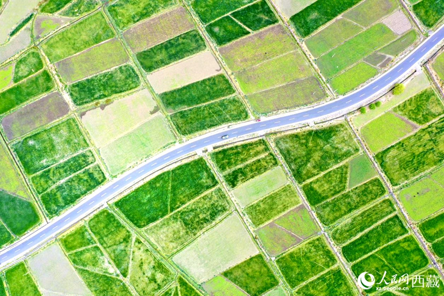 In pics: Breathtaking beauty showcases Xizang's ecological conservation results