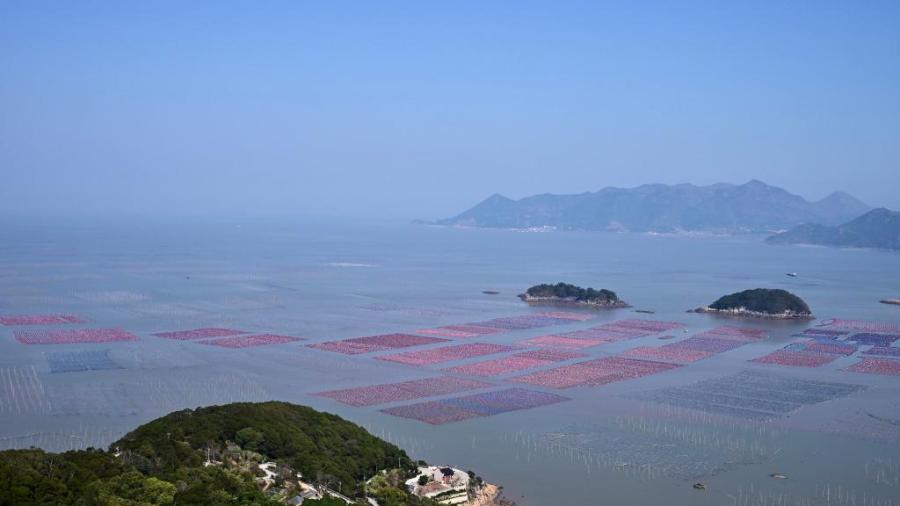 Beautiful coastal mud flats in Xiapu