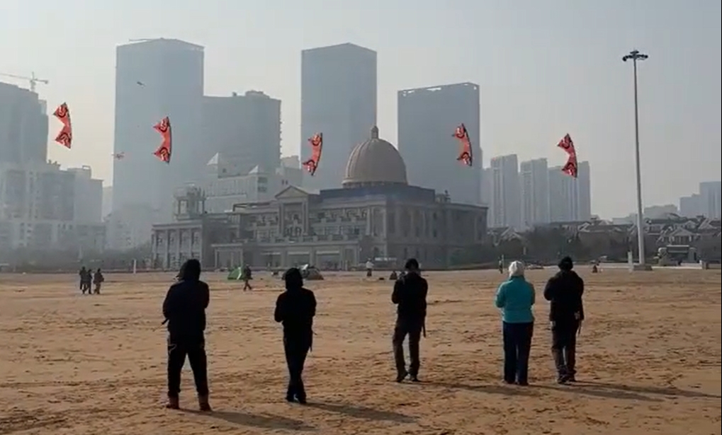 Kite flying turns into art in sky