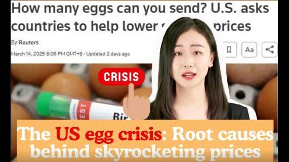 PD Explainer | The US egg crisis: Root causes behind skyrocketing prices