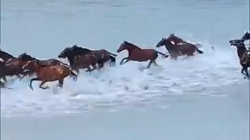 'Land of Heavenly Horses' in Xinjiang's Zhaosu