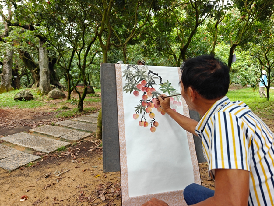 Farmers embrace bumper lychee harvest in Maoming, S China's Guangdong