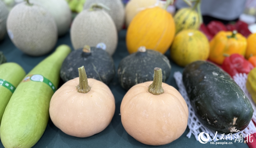 Over 3,000 agricultural innovation achievements on display in Wuhan, C China's Hubei