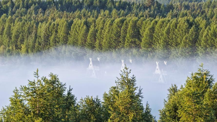 Scenery of Saihanba National Forest Park in Chengde City, China's Hebei