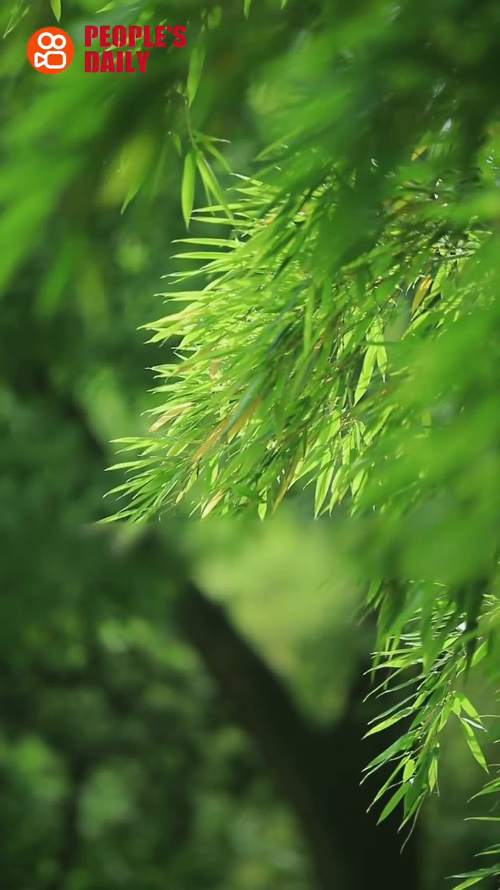Trending in China | Lesser Heat: Summer in full bloom