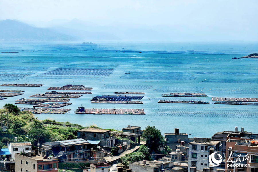 Abalone industry thrives in Lianjiang county, SE China's Fujian