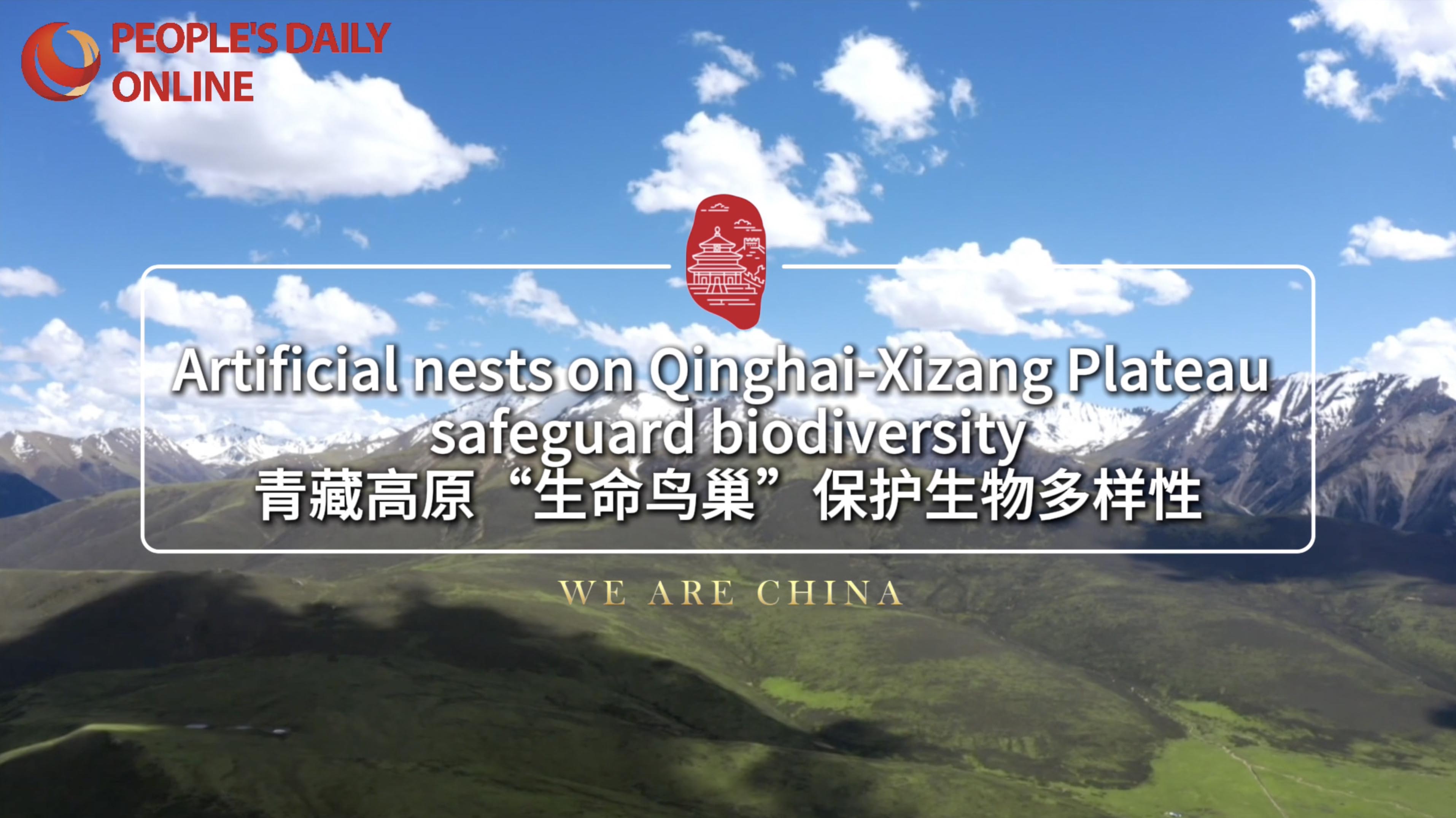 Artificial nests on Qinghai-Xizang Plateau safeguard biodiversity